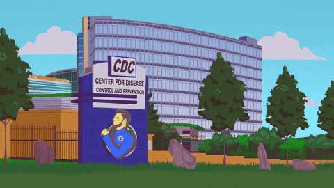 As I continue to rave about governments failure to educate