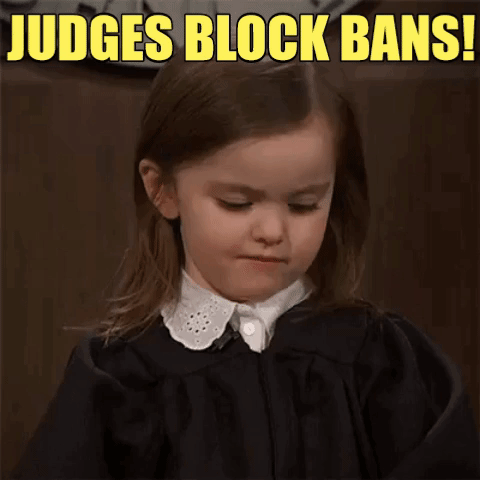 Michigan and Oregon vape bans put on hold