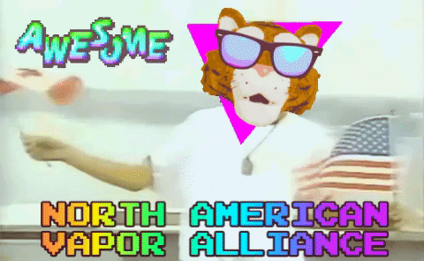 Canadian and American Vapor associations plan to team up!