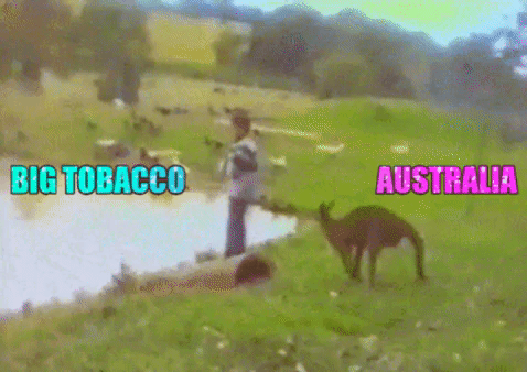 Smokers in Australia now have their governments backing to switch to vapes