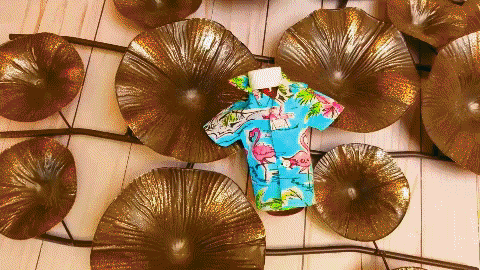 Happy June 5th, have a sale!